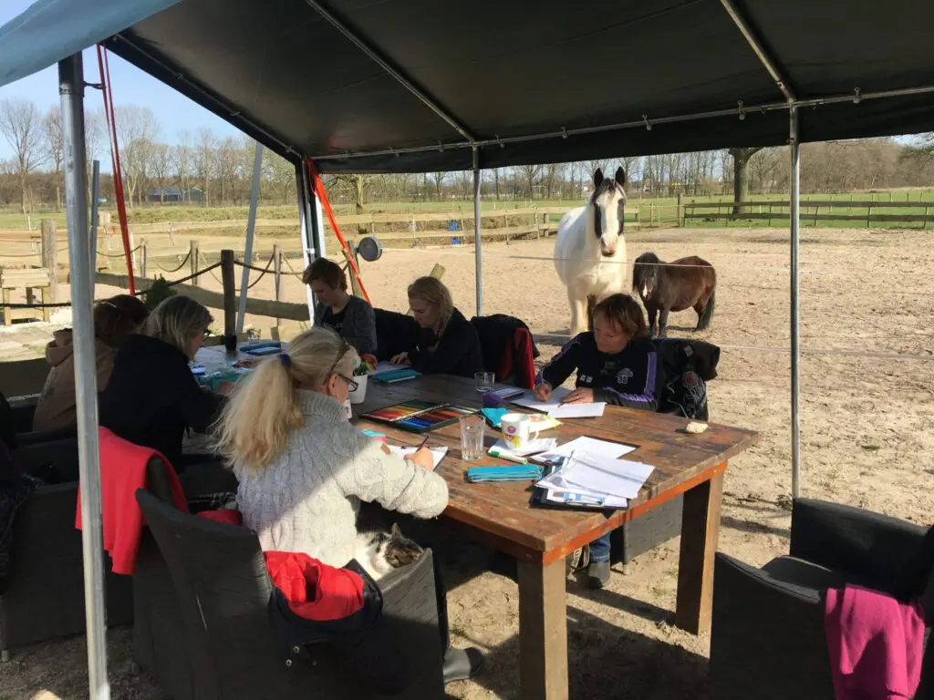 Hoogsensitief en paard
