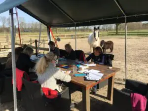 Hoogsensitief en paard