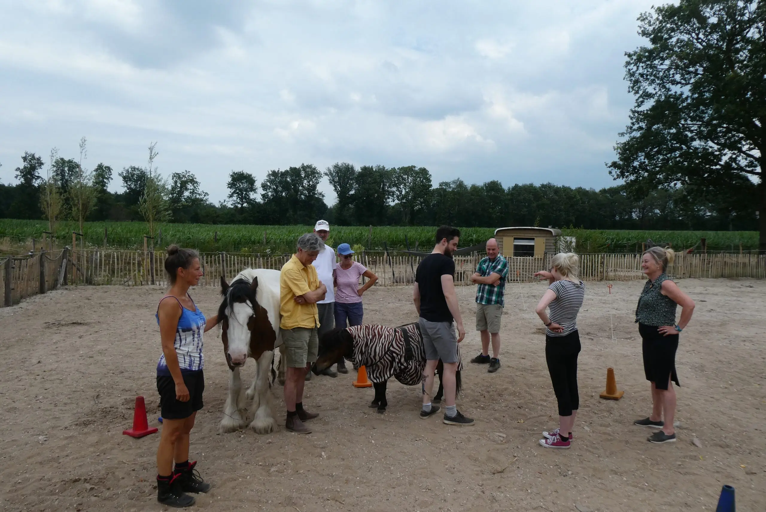 familie-opstellingen-met-paarden-systemischwerken-equizenz-Uden