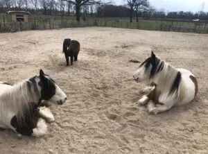 krachtige eigenschap, 10 signalen voor gezonde grenzen