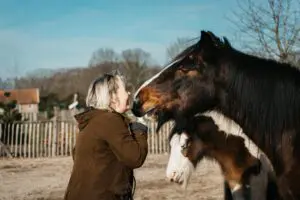 systemisch-werken-met-paarden-paardencoaching-equizenz-hoogsensitief