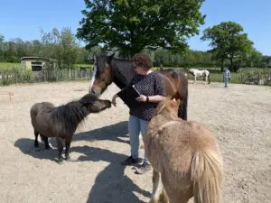 Je staat op een keerpunt als Hsp in je leven en vraagt om verandering