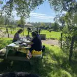 Equizenz-Hsp-natuur-café-activiteiten