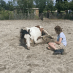 “Leerkracht met stress en werkdruk in het onderwijs” “Leerkrachten volgen coaching voor werkstress en balans”