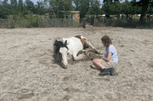 “Leerkracht met stress en werkdruk in het onderwijs” “Leerkrachten volgen coaching voor werkstress en balans”