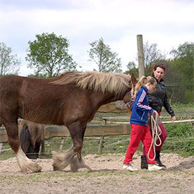 Hooggevoeligheid-coachen-met-paarden-therapie-met-paarden-intuitie-overprikkeling-gezinscoaching-equizenz-uden