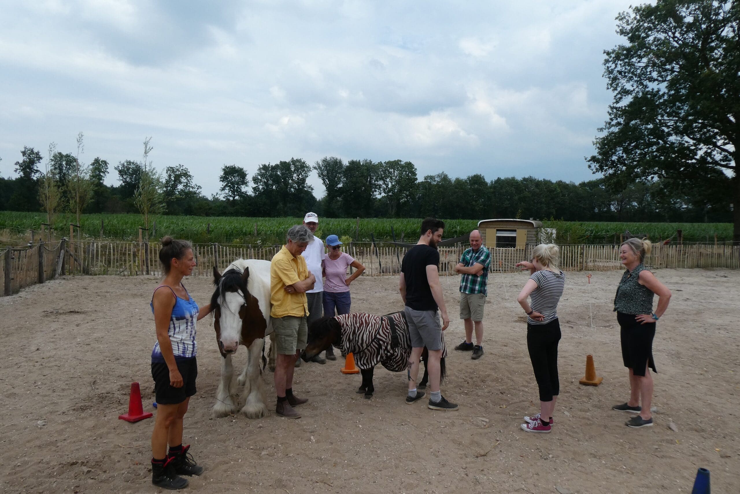familie-opstellingen-met-paarden-systemischwerken-equizenz-Uden