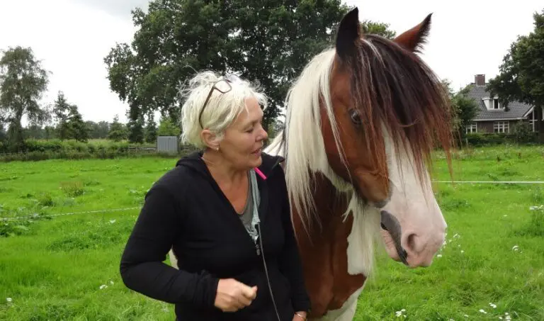 Uden-Coachen-met-paarden-therapie-paarden-Uden-Hoogsensitief