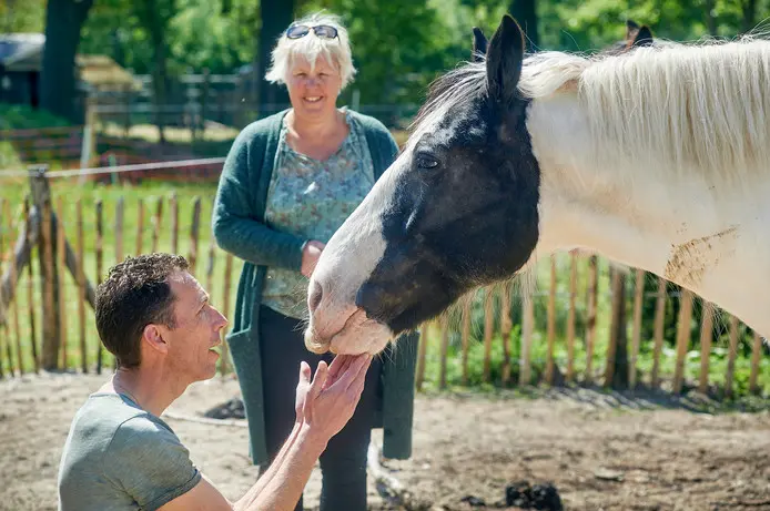 documentaire-HSP-equizenz-Uden