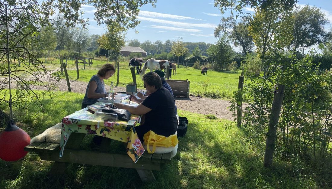 Equizenz-Hsp-natuur-café-activiteiten