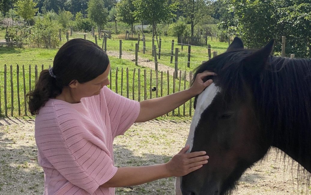 Equizenz-paardencoaching-hoogsensitief