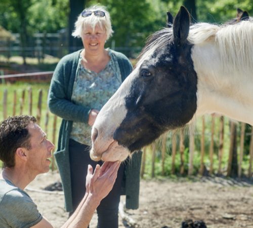 Familieopstelling, hsp, systemisch werken