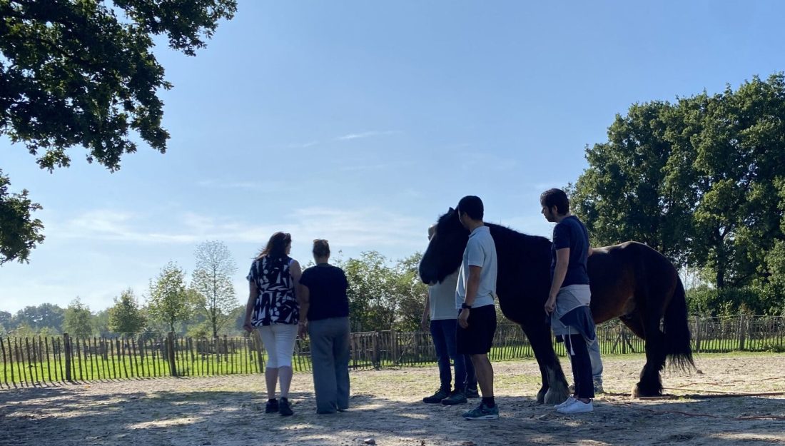 Organisaties en teams-equizenz-vergaderen