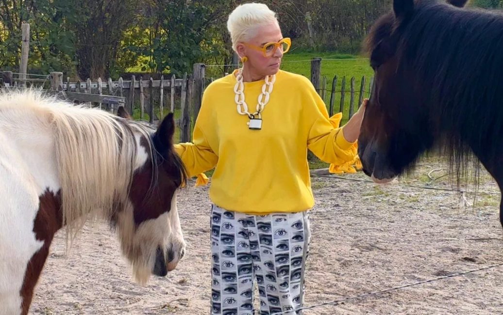 opstellingen met paarden-hsp-Equizenz-uden