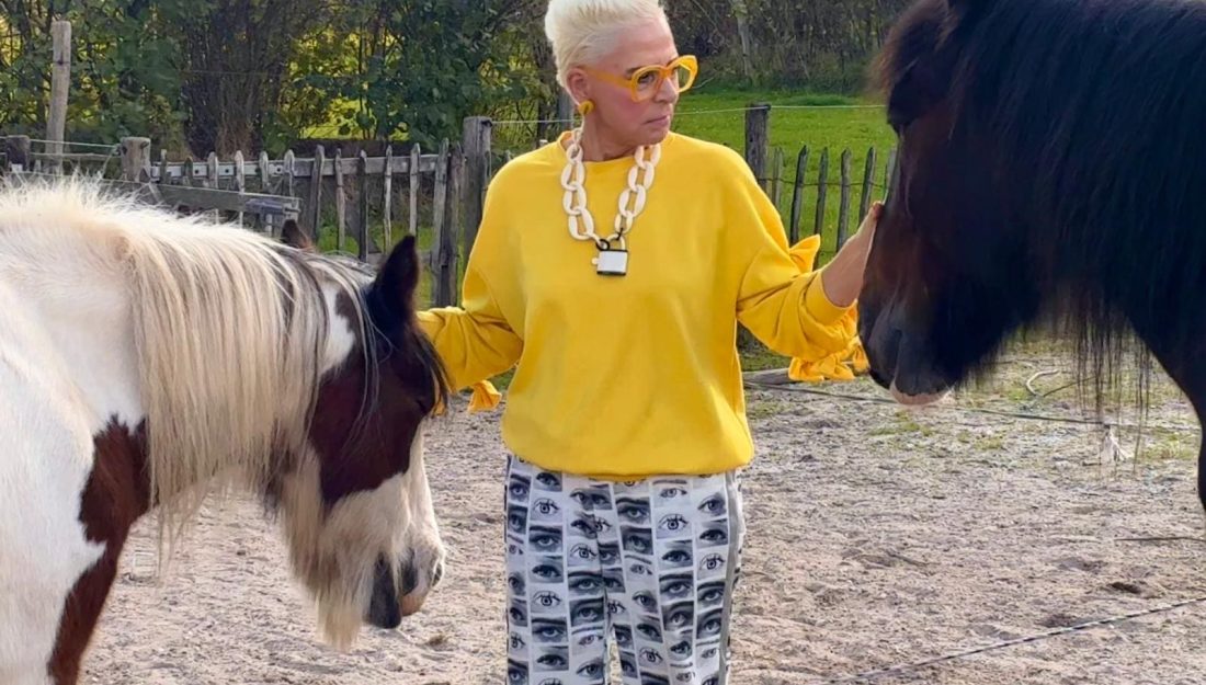 opstellingen met paarden-hsp-Equizenz-uden